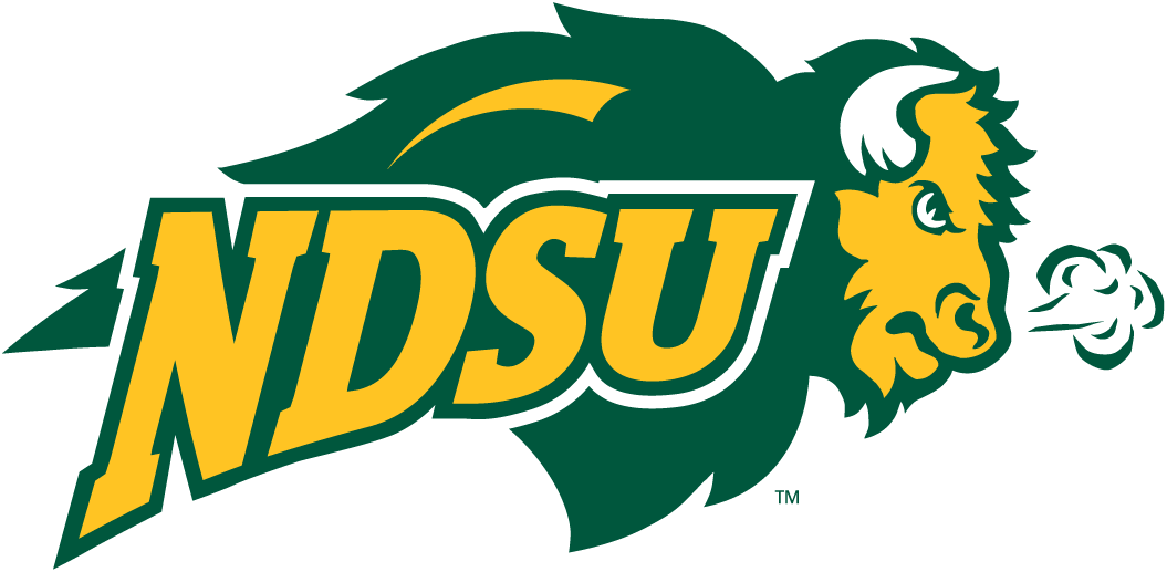 North Dakota State Bison 2005-2011 Secondary Logo v2 iron on transfers for clothing
